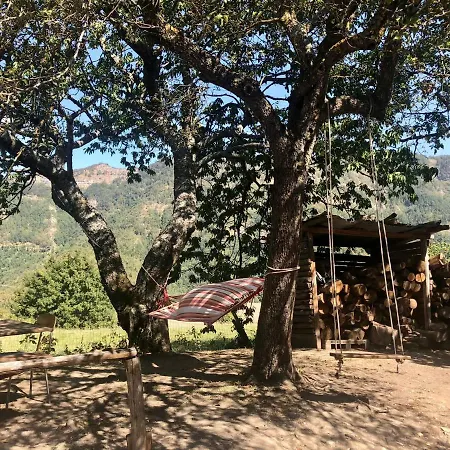 Guest house Rifugio 